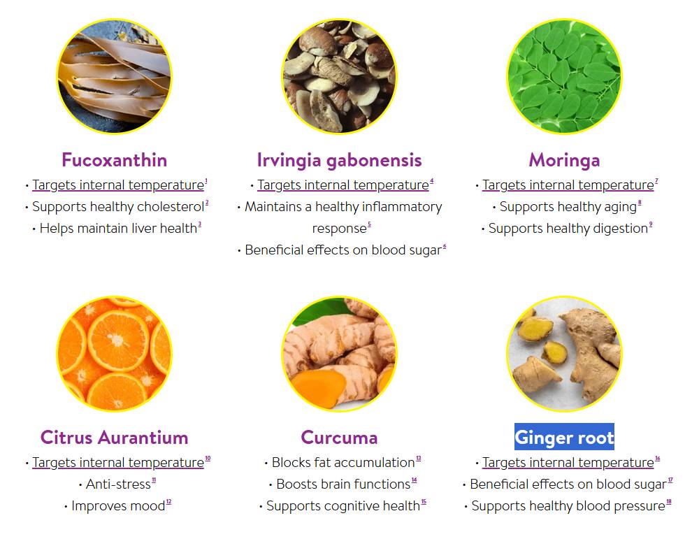 LavaSlim Supplement Facts